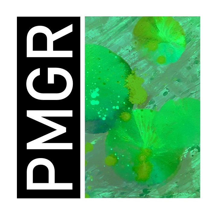 The journal’s logo is based on a painting by Lisa Sauberer. Lisa’s original painting is striking, bold, ebullient, and inspiring. Not coincidentally, these are also the elements that describe the ambitions of this journal. 